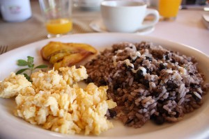 gallo-pinto.costa.rica