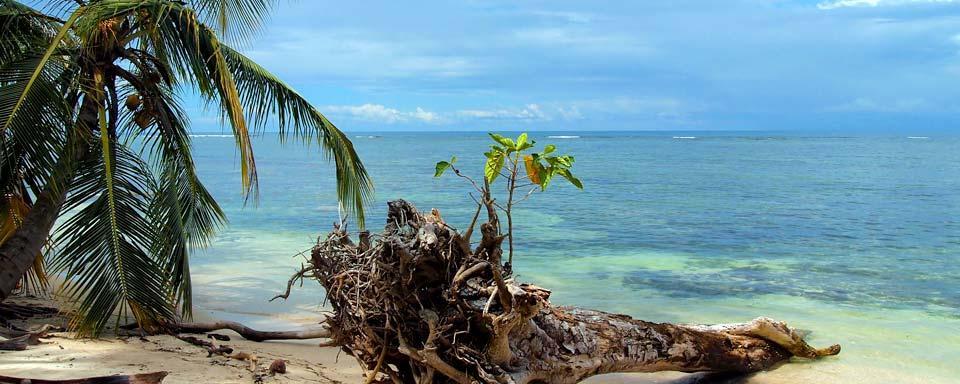 parco.tropicale. cahuita.costa.rica