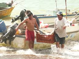 pesce.fresco.mangiare.e.bere.costa.rica