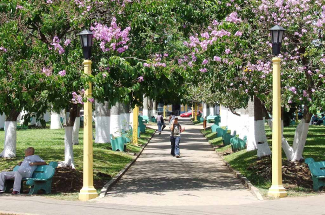 viale -atenas-costa-rica