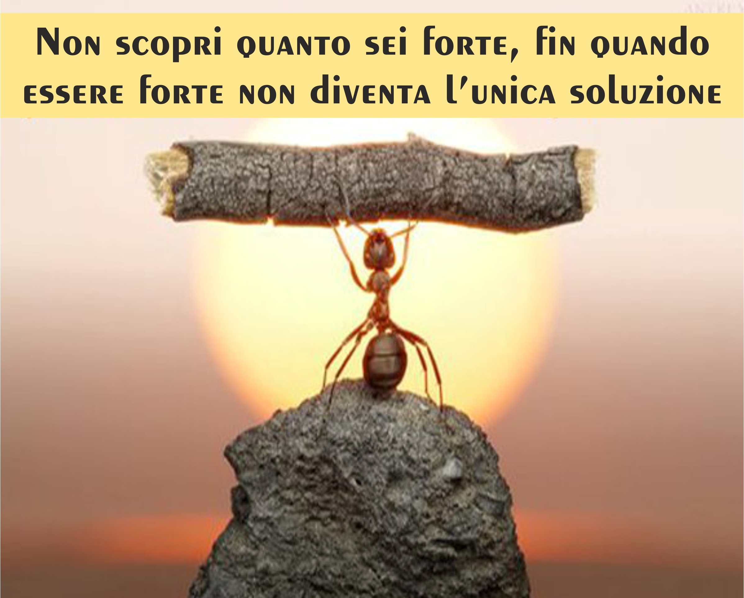 formica-forte-motivazionale