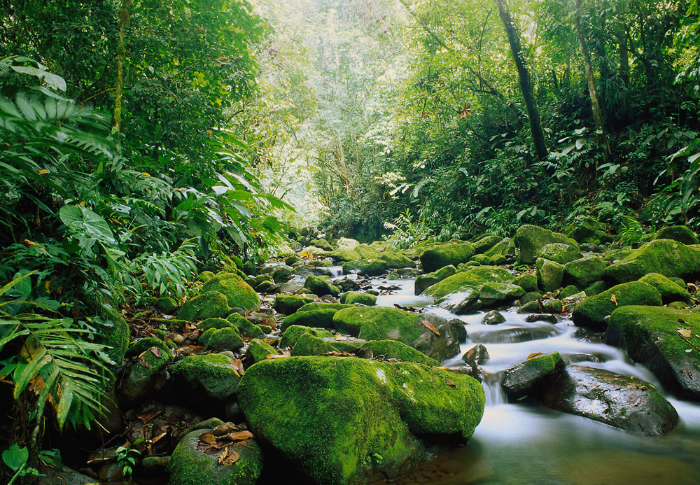 monteverde.Costa -ricapg