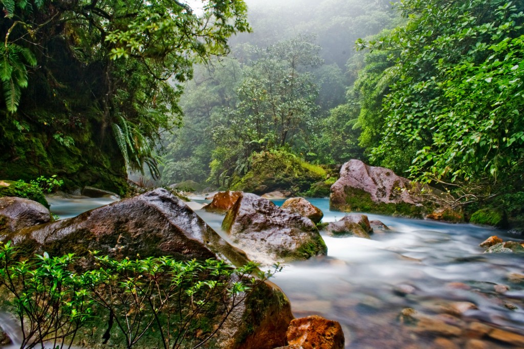 costa-rica-polmone-verde-foreste
