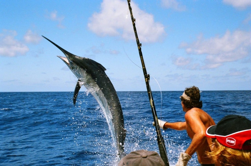 pesca-in-costa-rica-pg