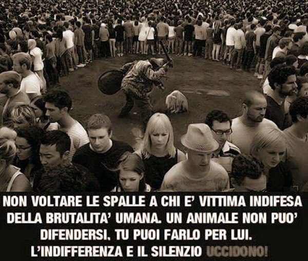 difendiamo gli animali