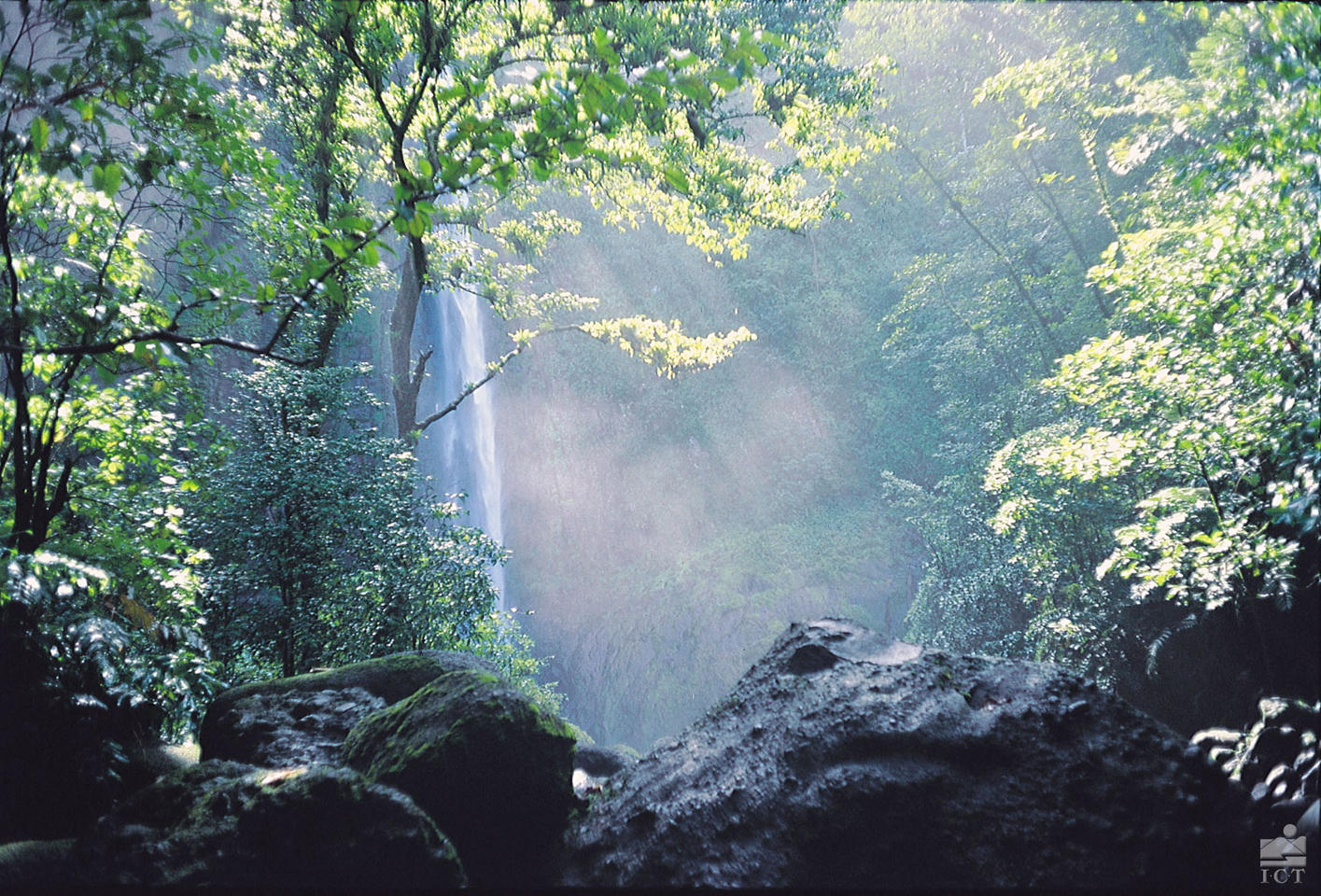 paradiso-terrestre-costa-rica_jpg