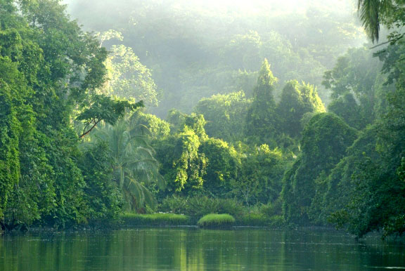 ecoturismo-in-costa-rica-penisola-di-osa