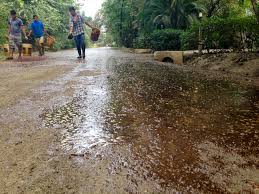 strade -fatte-di-melassa-in-costa-rica-jpg