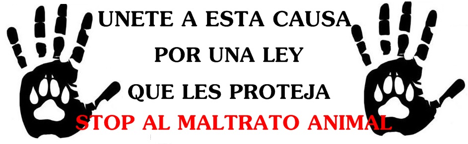 maltrattamento degli animali